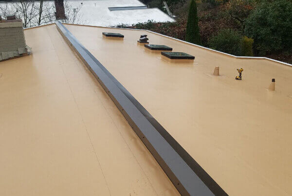 Skylights and PVC membrane roof from Larry Haight Residential Roofing