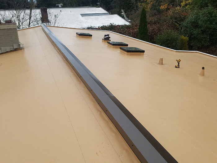 Skylights and PVC membrane roof from Larry Haight Residential Roofing