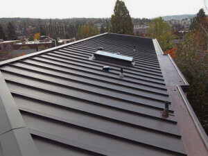 Metal standing seam panels