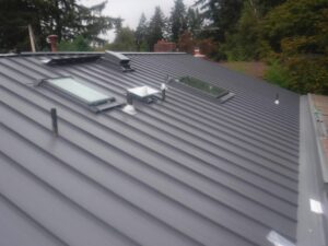 metal roof with skylight built into it