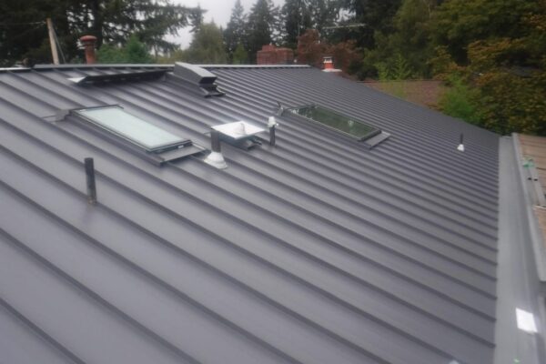 metal roof with skylight built into it