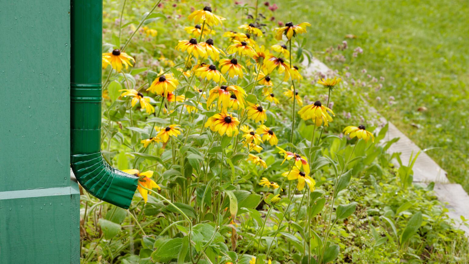 Benefits of Adding Cleanout Boxes to Gutter Systems