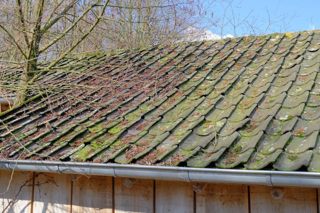 worn down home with moss covered roof.