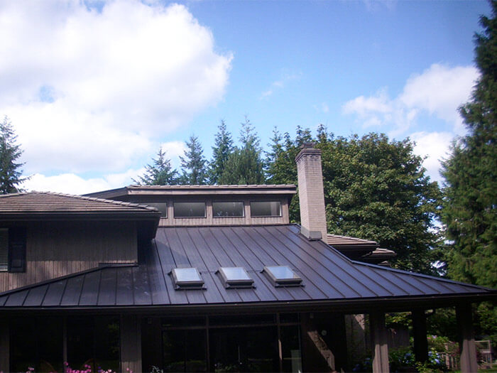 Enhance your home with metal roof skylights